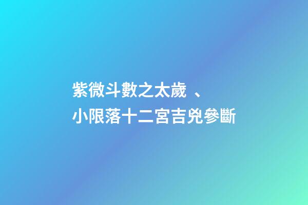 紫微斗數之太歲、小限落十二宮吉兇參斷